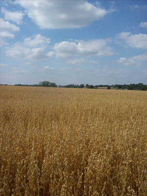 White Pump Farm Photo Gallery - Camping and Caravanning in the Staffordshire Countryside