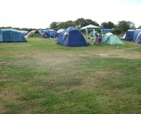 V-Festival